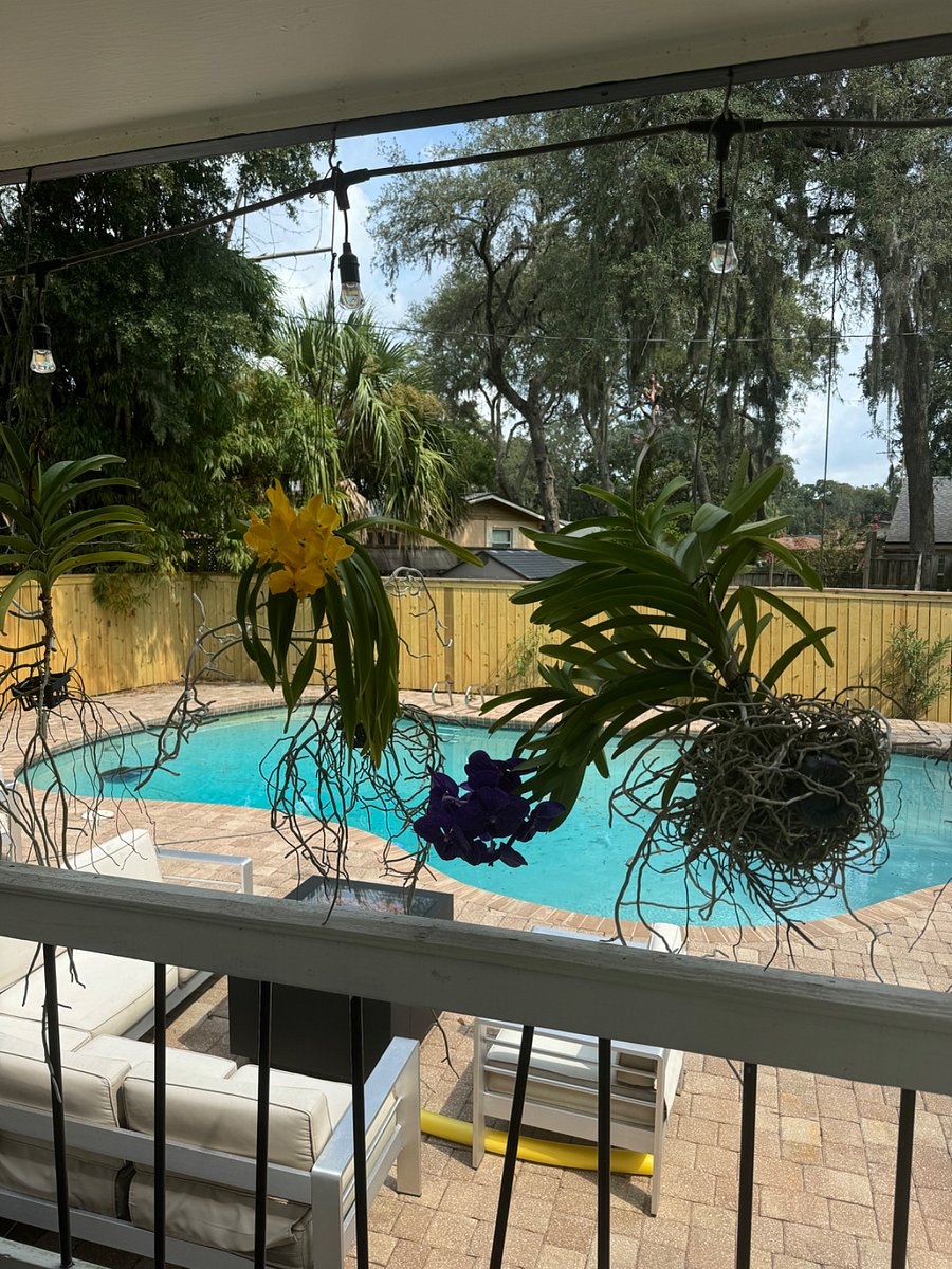 Furnished Finder property 875472_1 photo 4