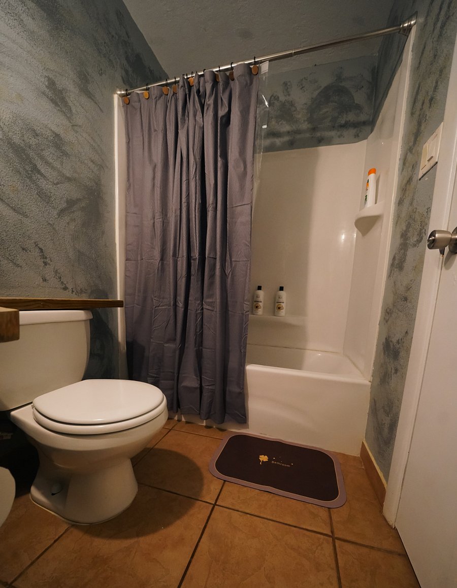 Furnished Finder property 875518_1 photo 28