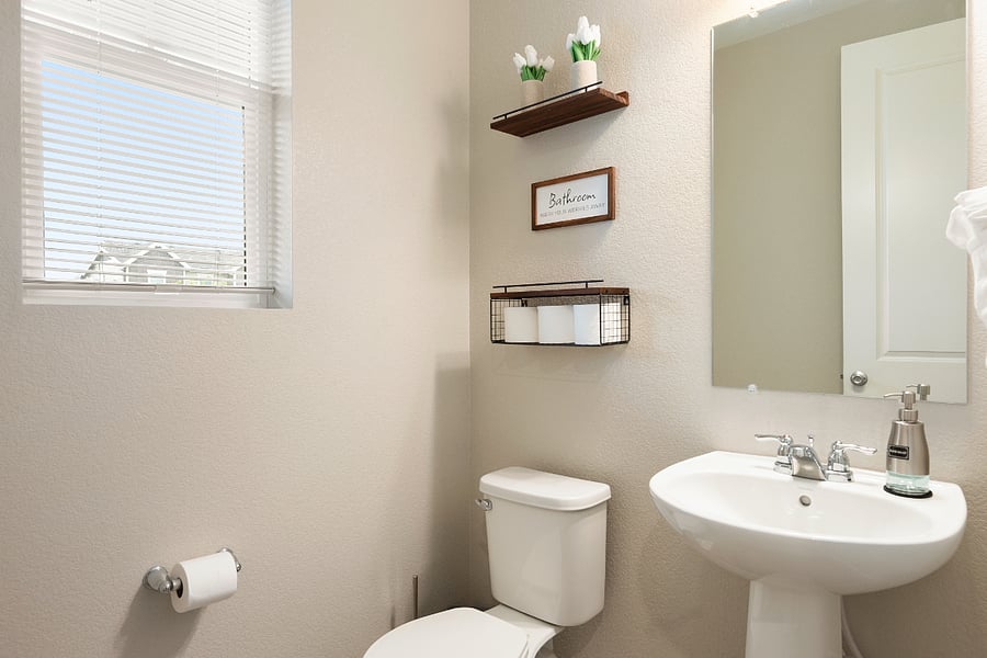 Furnished Finder property 875528_1 photo 16
