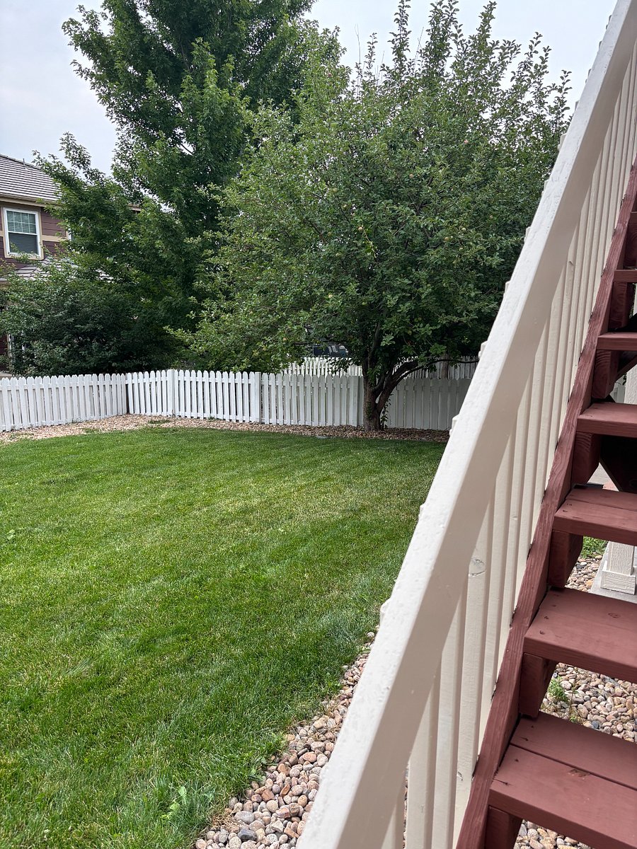 Large Backyard