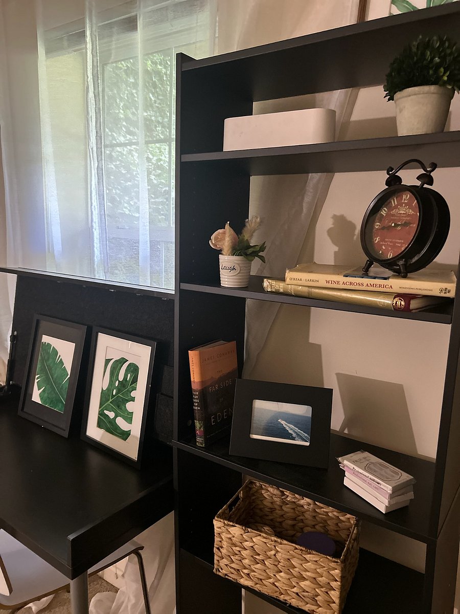 Plenty of space, desk and book shelves.