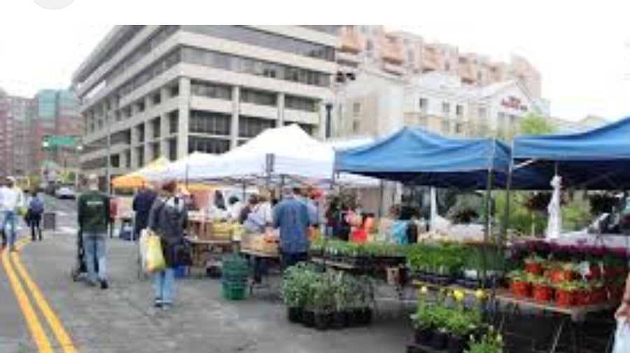 Farmers market walking distance every Saturday