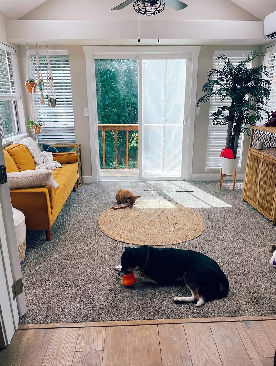 The epic sunroom! This is an older picture, but it's since been filled with many plants (puppy not included, sadly)