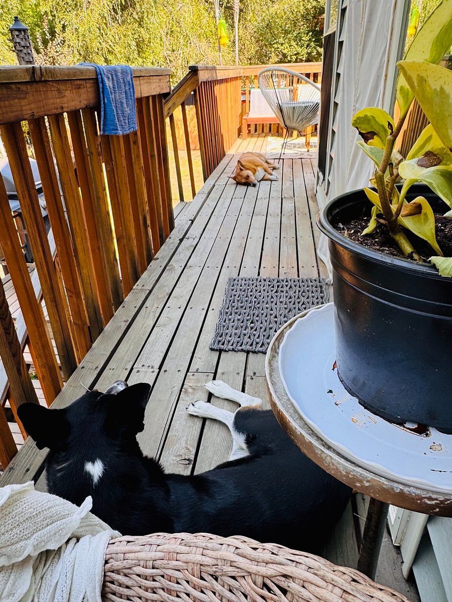 Peek at the outdoor patio space. I apologize that I don't have many pictures of this space