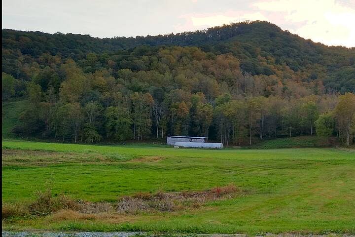 View behind the cabin.
