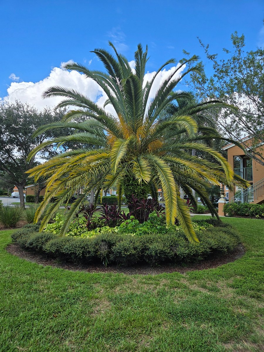 Furnished Finder property 875714_1 photo 53