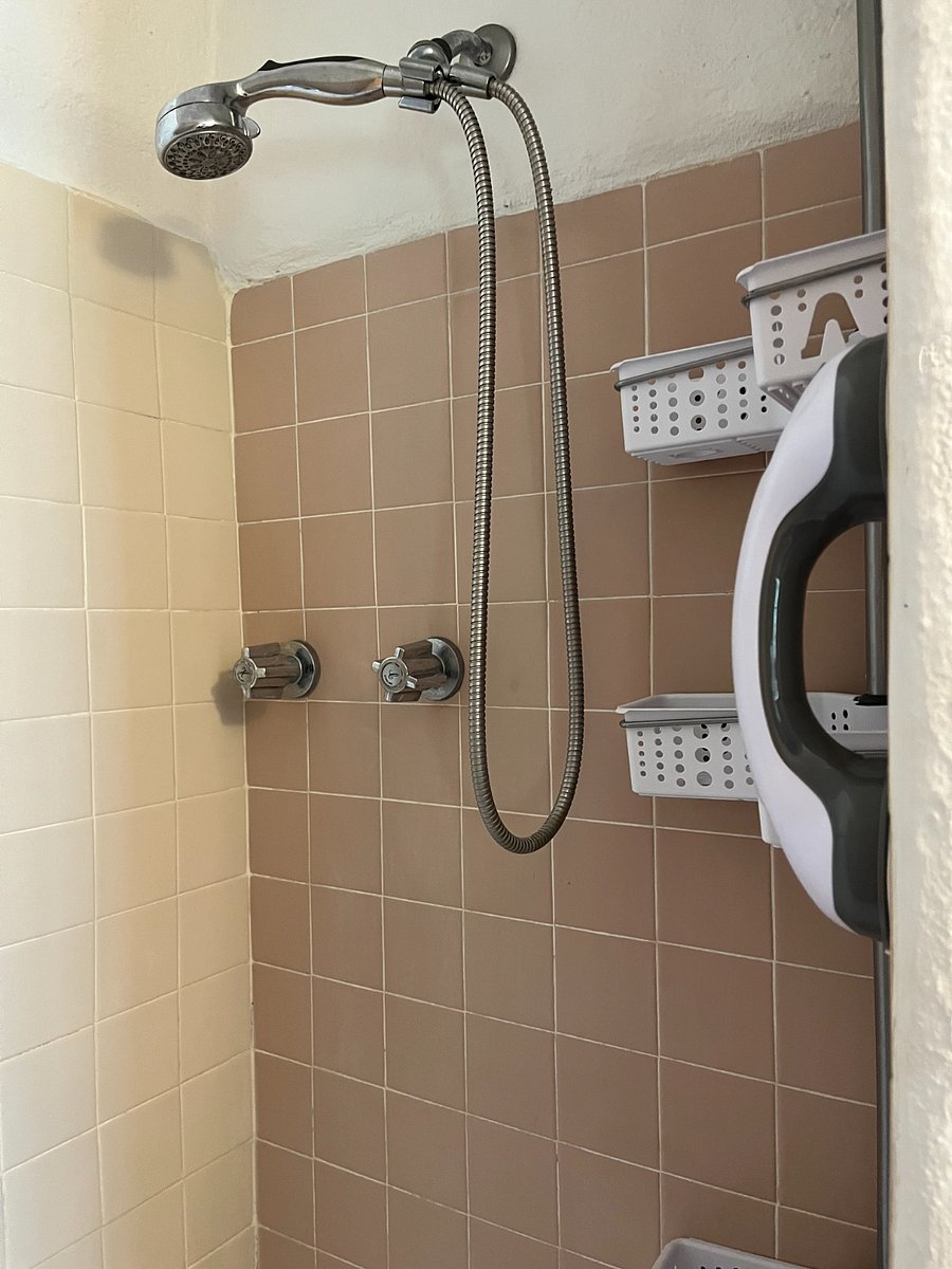 Handheld shower head