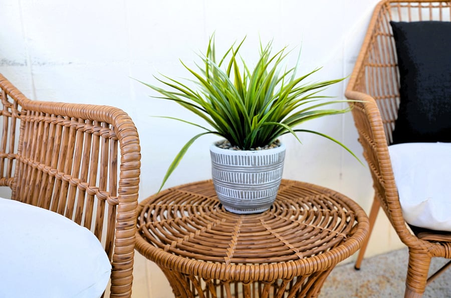 Even the plants seem to enjoy the laid-back vibe of Miami style!