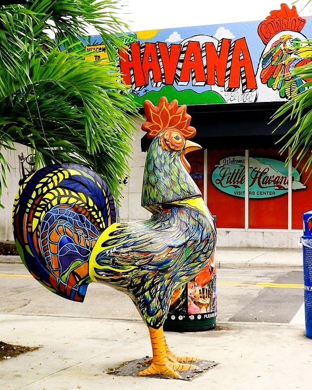 Colorful Roosters of Little Havana
Keep an eye out for the iconic plaster rooster statues scattered throughout Little Havana! These vibrant, hand-painted roosters are more than eye-catching arttheyre a proud symbol of Cuban culture, representing strength, pride, and the lively spirit of the community. Each rooster is uniquely decorated and makes for a fun photo op as you explore Calle Ocho and nearby streets.