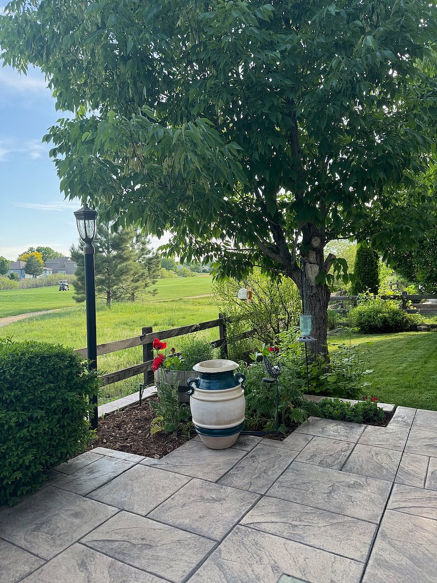 Gorgeous backyard with trees and privacy.