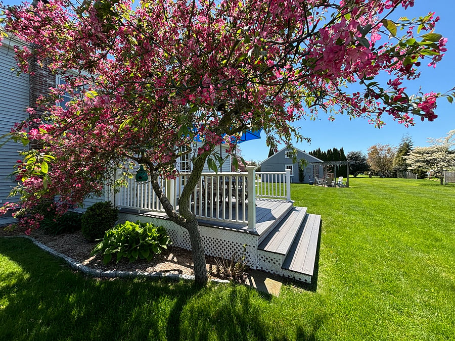 Furnished Finder property 876089_1 photo 27