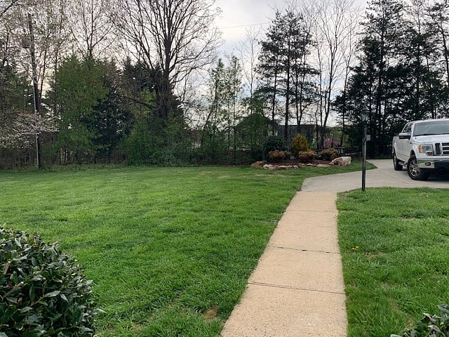 On-site, well-lit parking in back yard.