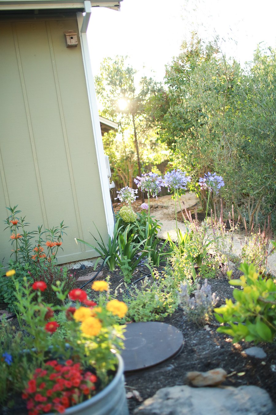 Beautiful garden flowers on the property
