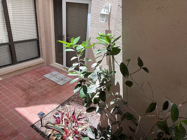 Furnished Finder property 876337_1 photo 4