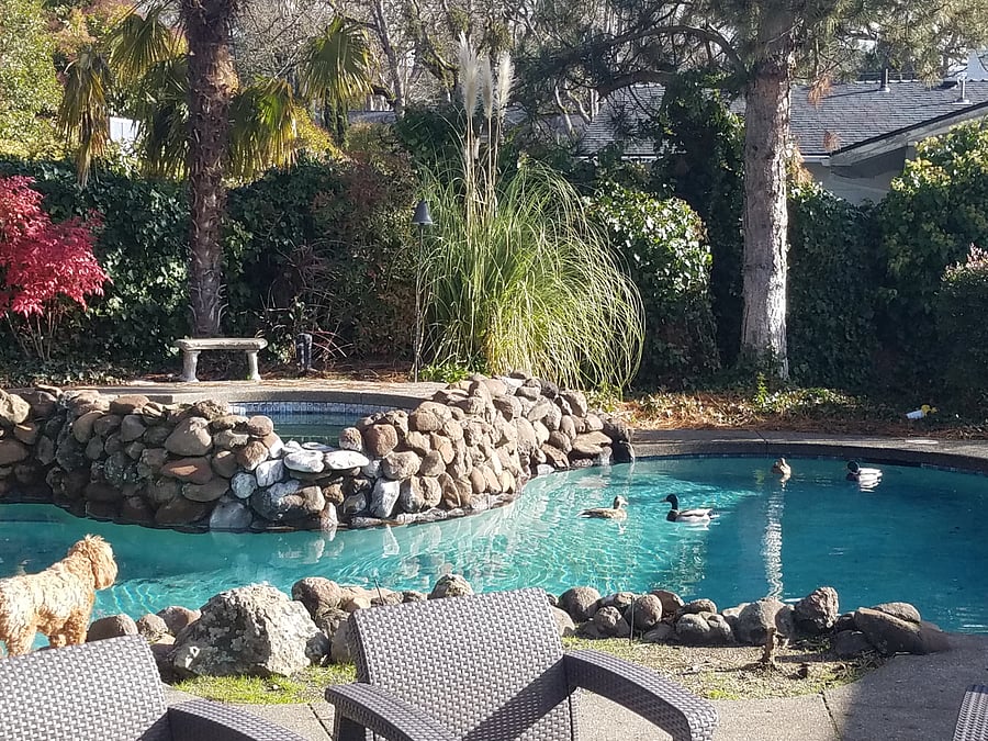 Furnished Finder property 876361_1 photo 11