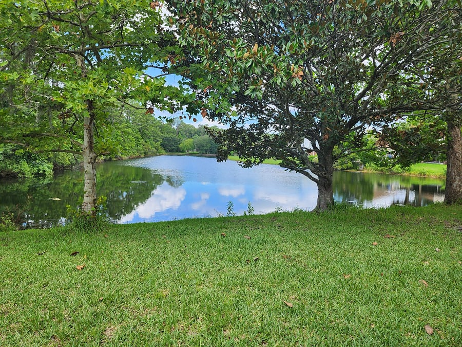 Furnished Finder property 876498_1 photo 21