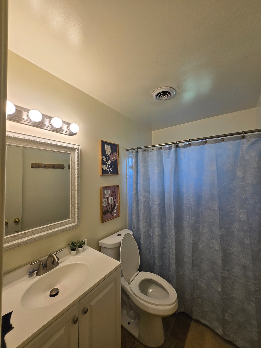 Furnished Finder property 876502_1 photo 4