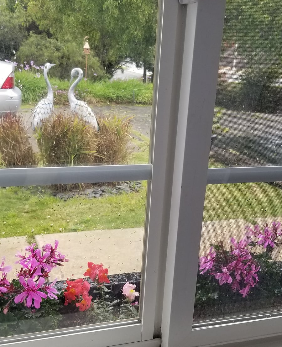View from window