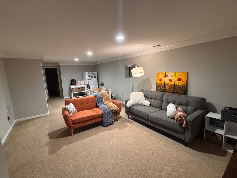 Basement Family Room