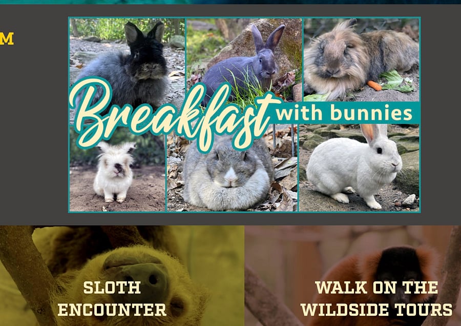 Yellow River Animal Sanctuary