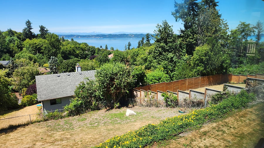 View of backyard from Living Rm