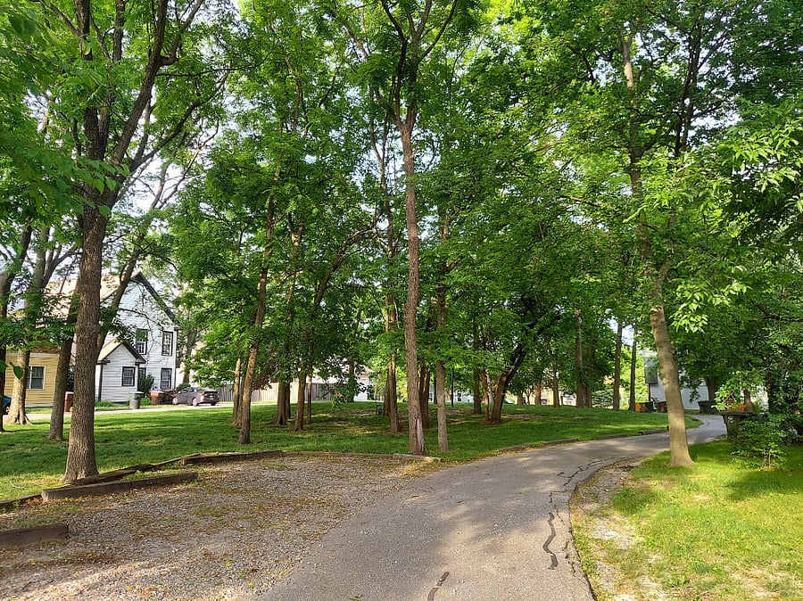 The Southside Commons are behind the townhomes--providing a shaded green space for enjoying the outdoors