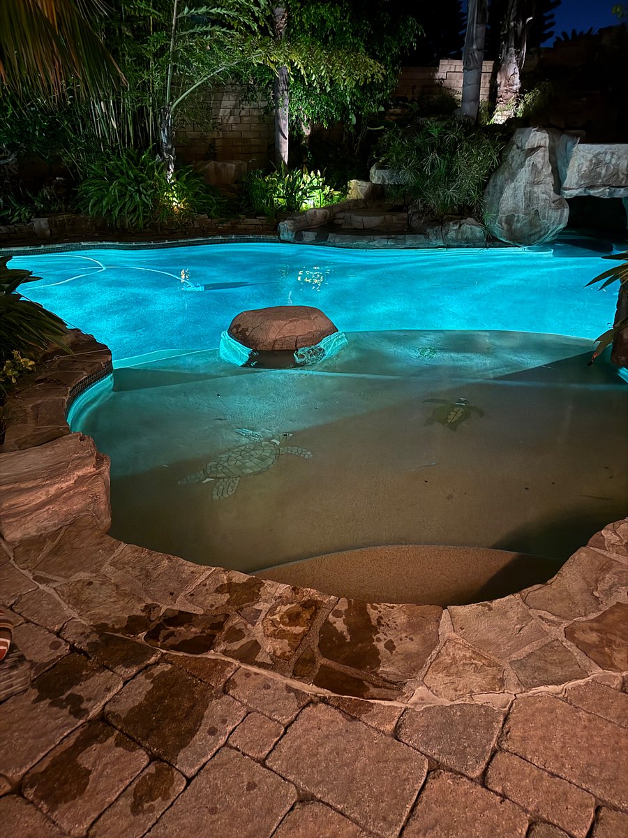 Lighted Pool