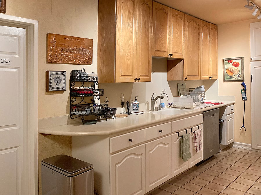 Kitchen west side - sink, dishrack, DW, Keurig, citrus juicer, pantry cupboard.