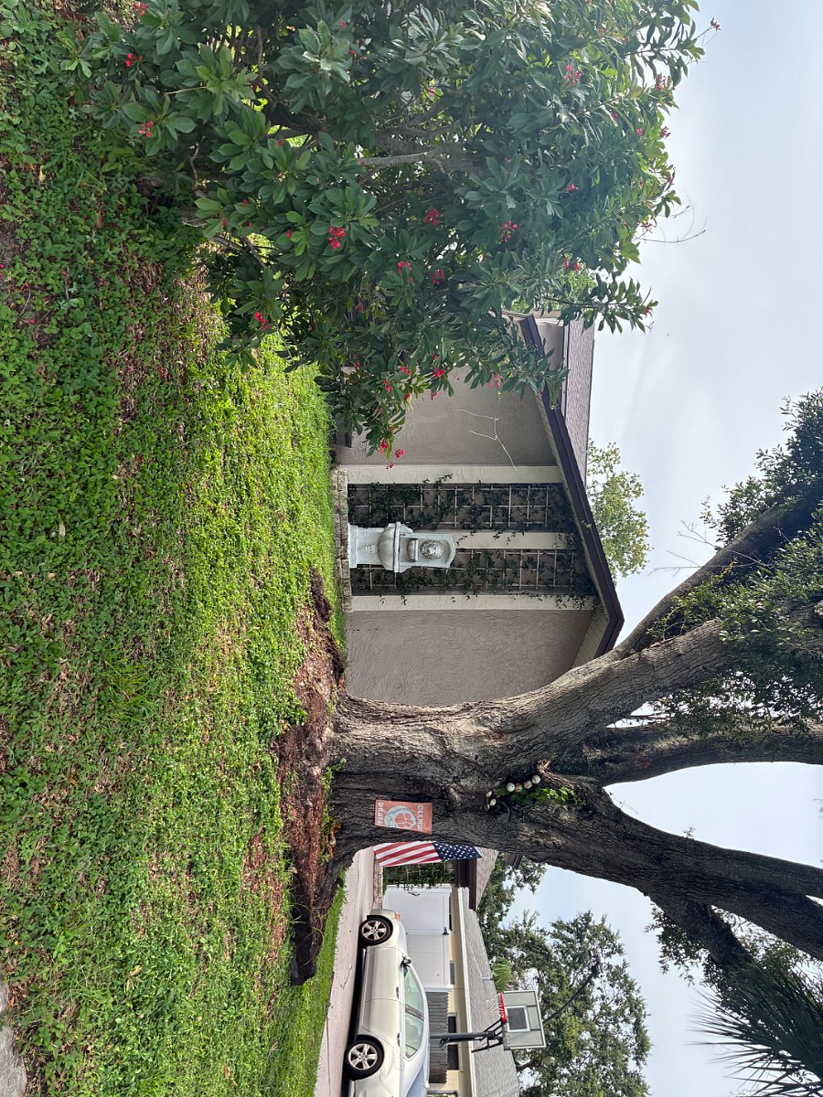 Furnished Finder property 877304_1 photo 6