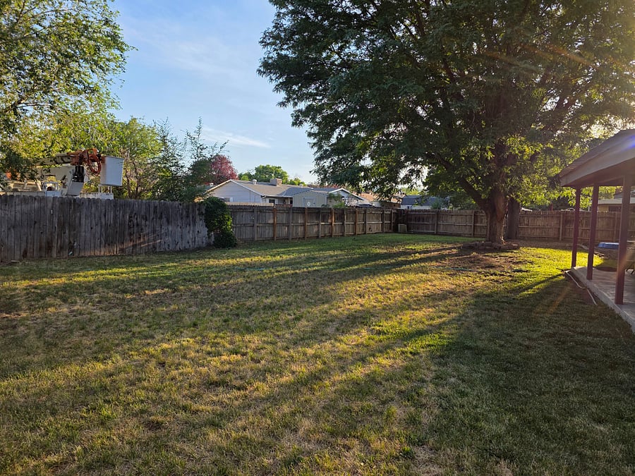 Spacious backyard