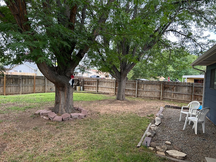 Furnished Finder property 877340_1 photo 17