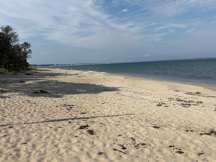 Furnished Finder property 877387_1 photo 23