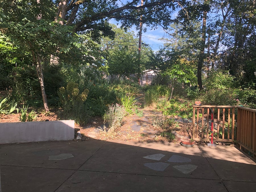 Back yard with patio