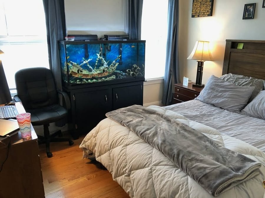 Furnished Finder property 877498_1 photo 16