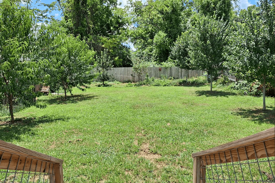 Furnished Finder property 877517_1 photo 15