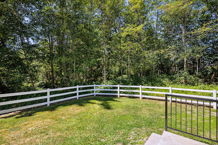 Serene view of surrounding woodlands