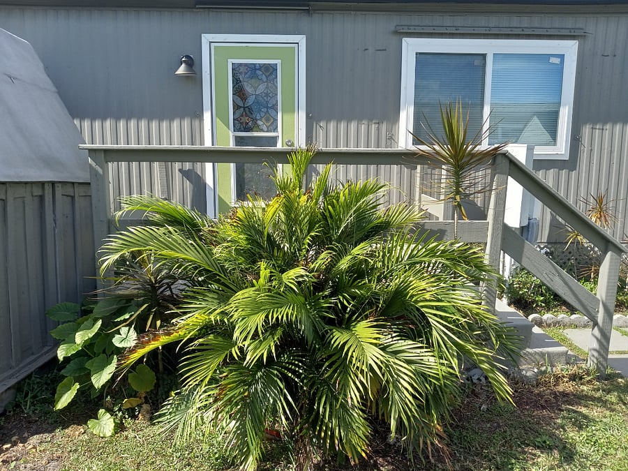 Furnished Finder property 877570_1 photo 4