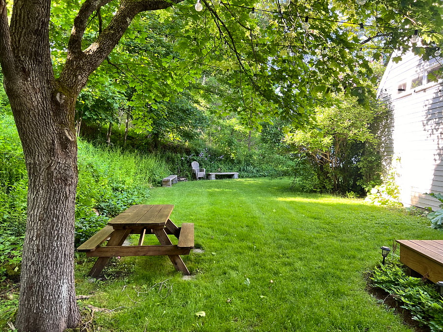 Backyard
