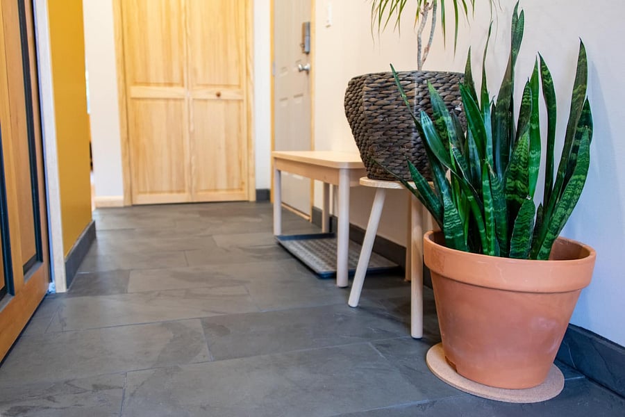 Slate flooring in the entrance area, seat to take off shoes, and more plants!