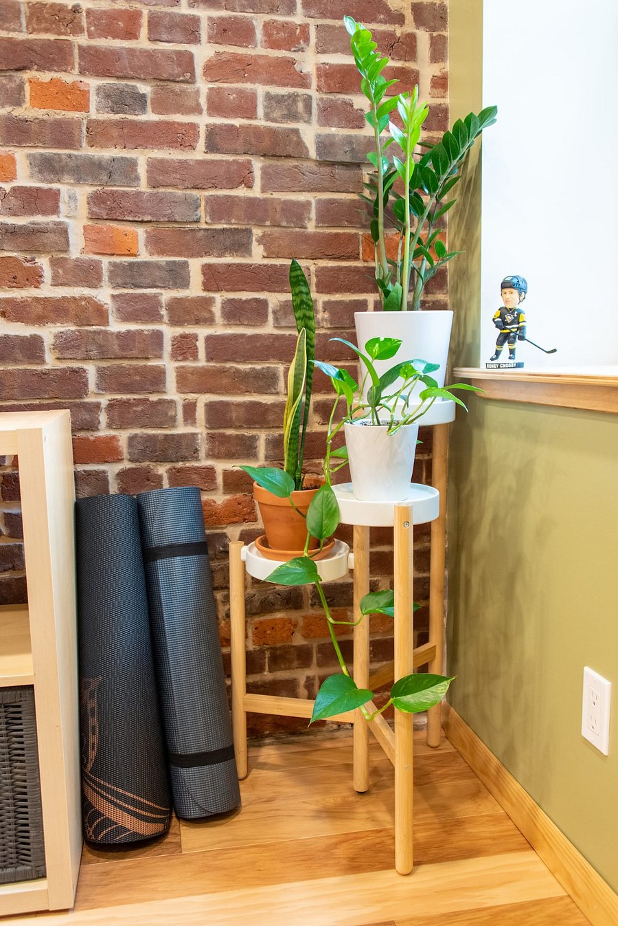 Nice plants in the space and yoga mats