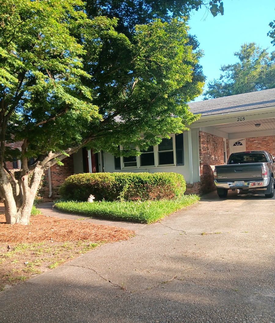 Front Yard