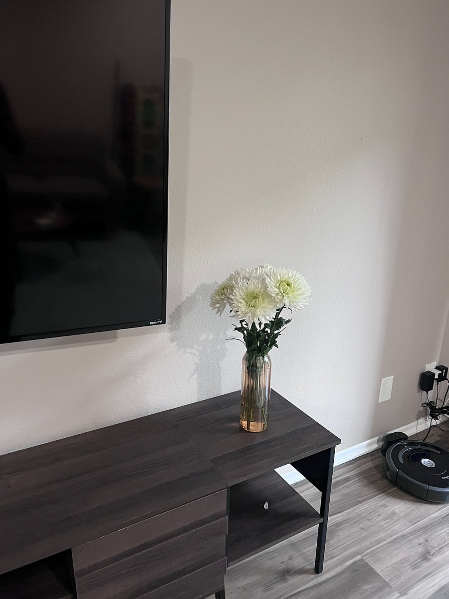 Furnished Finder property 877659_1 photo 3