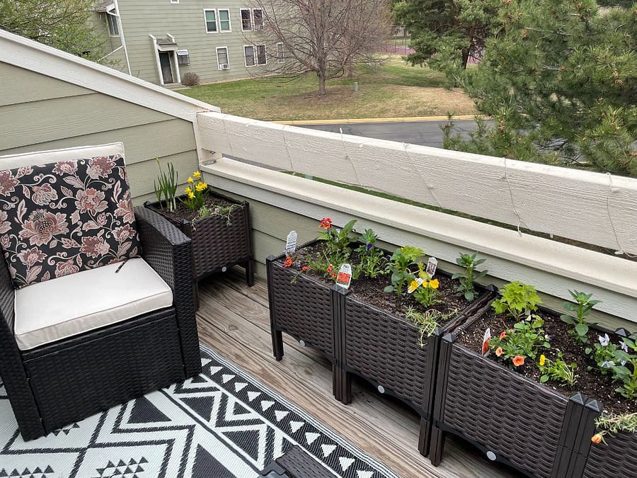 Balcony and planters-set up in summer