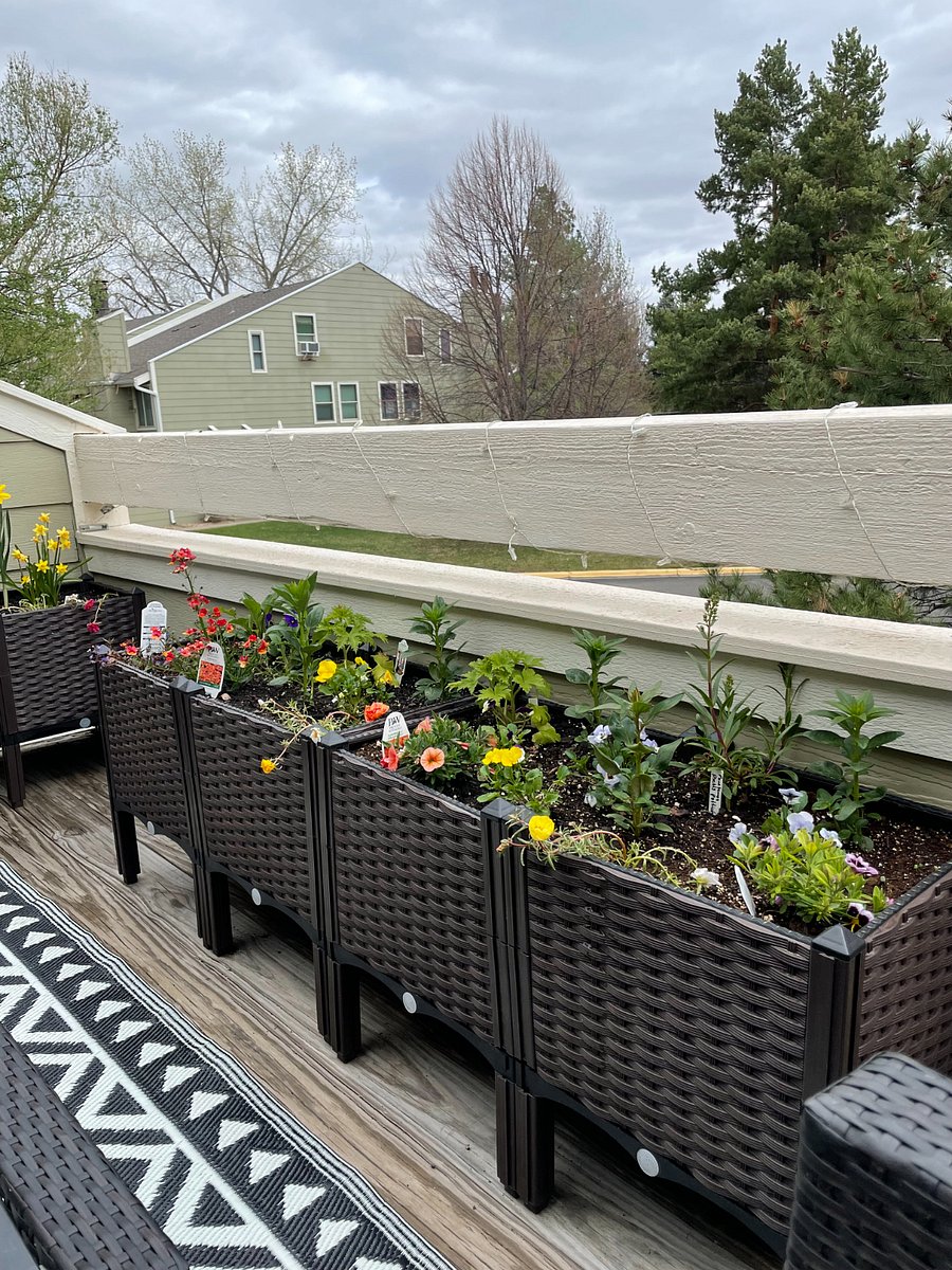 Planters-set up in summer