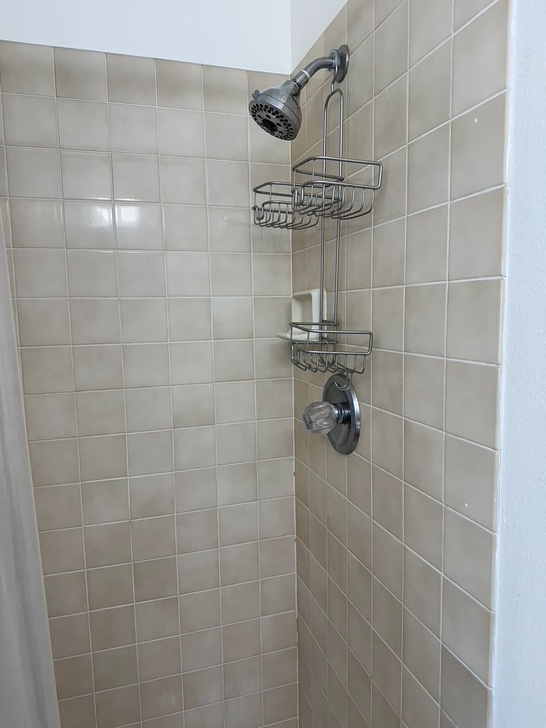 Primary Bathroom Shower