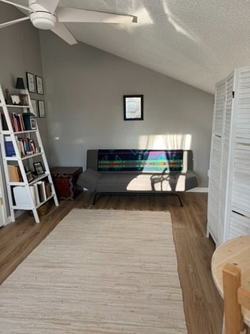 Loft/Pull out futon
