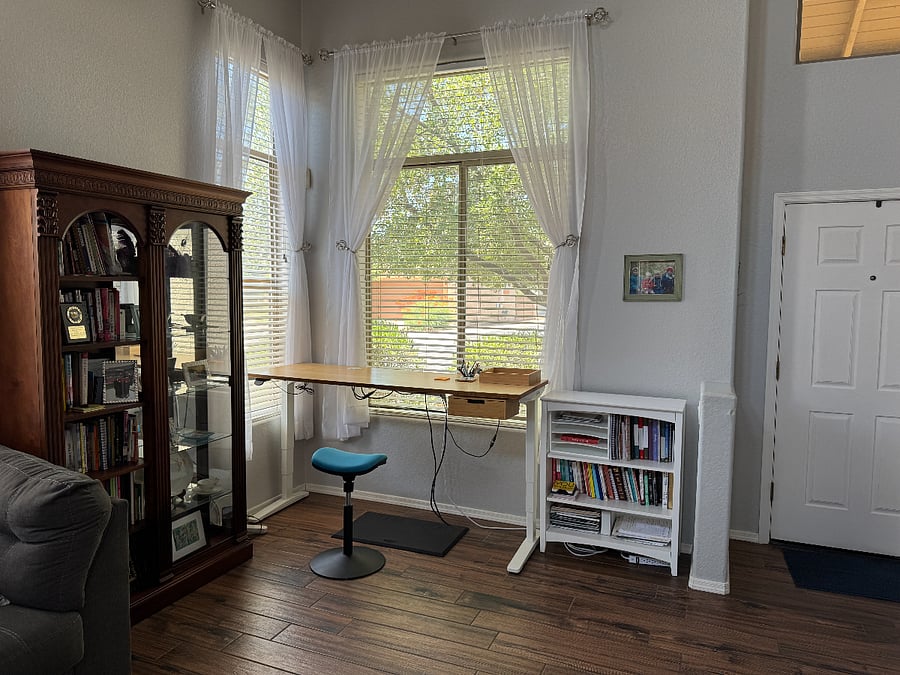 Standing desk: perfect for working remotely with a nice view out the window!