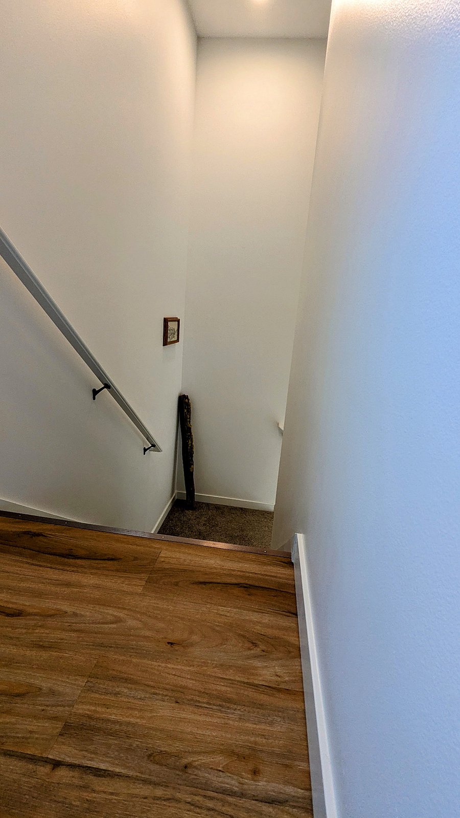 stairs to guesthouse from entryway