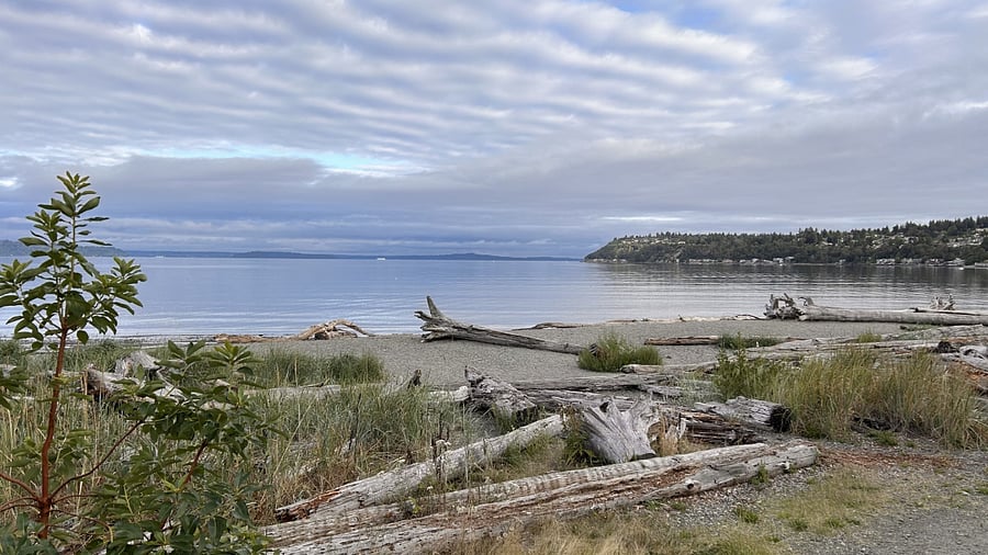 Just a 5 minute leafy walk away, the public seahurst beach is a welcome and peaceful getaway with miles of forest and seafront trails