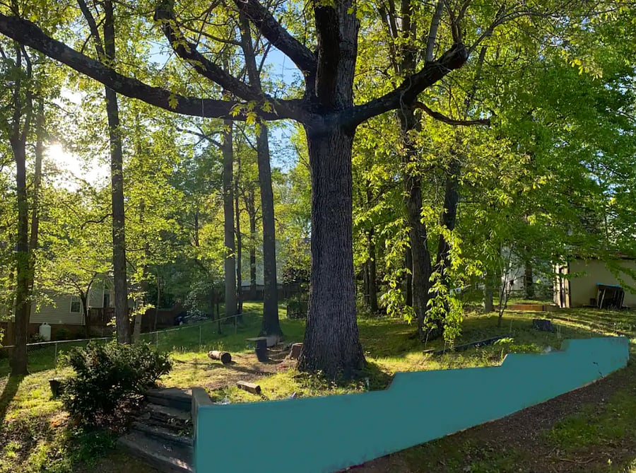 Backyard